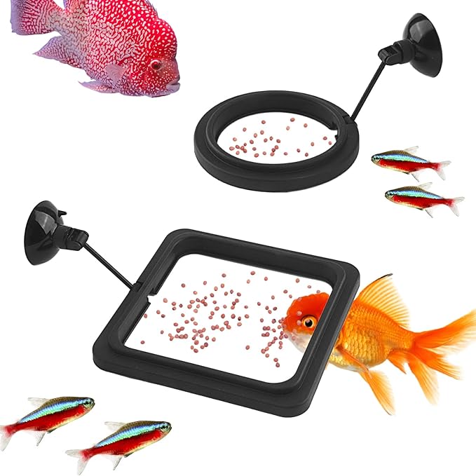 2 Pcs Small Fish Feeding Ring, Floating Food Feeder with Strong Suction Cup Aquarium Feeding Ring for Floating Aquariums and Fish Tanks