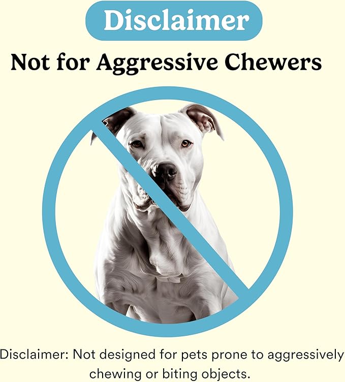 Jasper Macrobrush 360º, Dog Toothbrush for Medium to Large Dogs, Soft-Bristled Dog Tooth Brushing Kit - Premium Non-Slip Handle with 2 Replaceable Tooth Brush Heads, Use with Pet Toothpaste