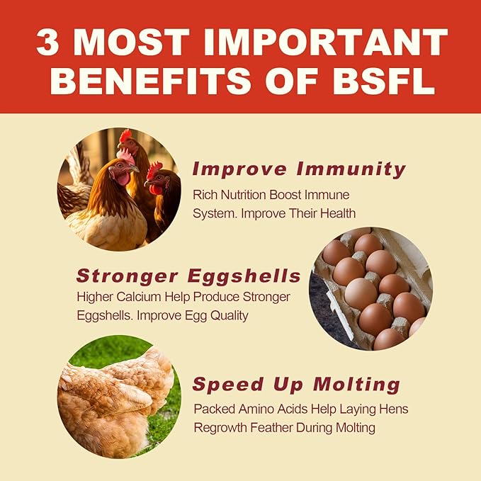 11LB Dried Black Solider Fly Larvae, BSFL is High Protein Chicken Feed with 85x More Calcium Than Dried Mealworms, Poultry Treats, Chickens Love, Birds Love, Hens Love, Ducks Love