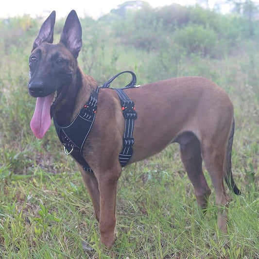 ICEFANG Dog Strap Harness with 4 x Metal Buckles,for X-Large Sized Dog,K9 Vest,Y-Shape Chest,Adjustable Pet Harness,No-Pull Front Leash Clip (X-Large (Pack of 1), Black)