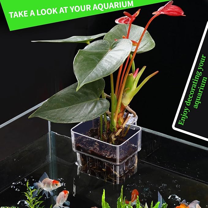 2 PCS Aquarium Plant Holder Top Hanging Fish Tank Plant Pot Aquarium Planter Cups for Water Feature Decoration