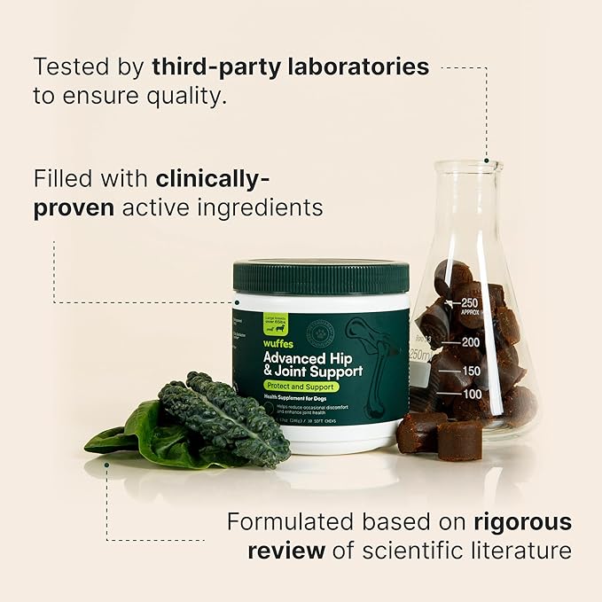 Wuffes Chewable Dog Hip & Joint Supplement - Glucosamine & Chondroitin Chews - Dog Joint Supplements & Vitamins - Extended Joint Care (Large Breed (Over 65 lbs), 60 Chews (Pack of 2))