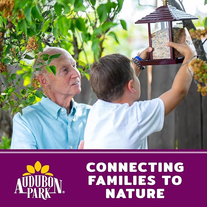 Audubon Park Nut & Fruit Wild Bird Seed – 8 lb. Premium Blend with Sunflower Seeds, Peanuts, Safflower & Dried Fruit – Bird Food for Outside Feeders