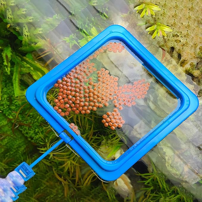 4 Aquarium Feeding Rings, Fish Tank Stations, Floating Food Trays, feeders, Square Circular attachments, Fish Food feeders, Suction Cups, Black, Suitable for Turtles, Turtles, Goldfish, Peacock fishs