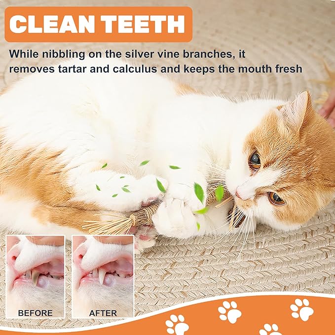 12pcs Silvervine Cat Toys,Raffia Silvervine Sticks for Cats, Catnip Cat Chew Toys Teeth Cleaning,Edible Kitty Toys