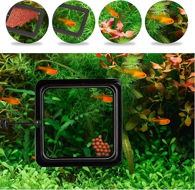 ZRDR Fish Feeding Ring, 2 Pack Black Aquarium Floating Food Feeder Circle Small Round and Square with Flexible Lever Suitable and Suction Cup, Reduces Fish Feeder Waste and Maintains Water Quality