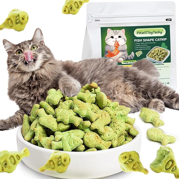 Cat Hairball Treats, 16 Oz Kitty Teeth Cleaning Catnip for Indoor, Fish Shape Cat Nip Dry Food, Healthy Chicken and Salmon Flavor Grass Biscuits