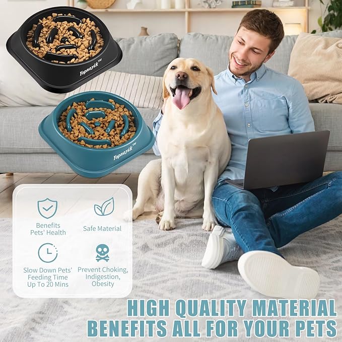 2 Pack Slow Feeder Dog Bowls for Healthy Eating, Non-Slip and Anti-Choking Design, Reduces Bloating & Overeating for Large Dogs, Easy to Clean