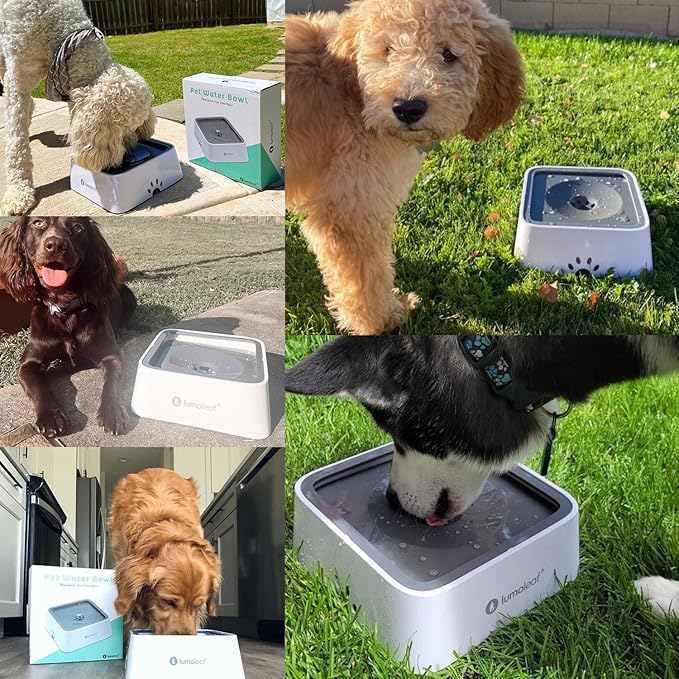 LumoLeaf No Spill Water Bowl for Dogs with Filter, 70oz/2L, Slow Feeder for Messy Drinkers, Drip-Free & Splash-Proof Design (Grey, 70 fl oz) (Grey 70 fl oz)