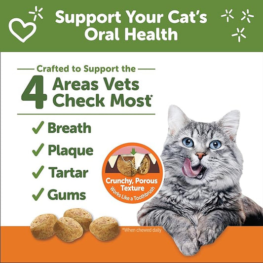 WHIMZEES Wellness Cat Dental Treats, Natural Chews, Chicken Flavor, (2 Ounce Bag)
