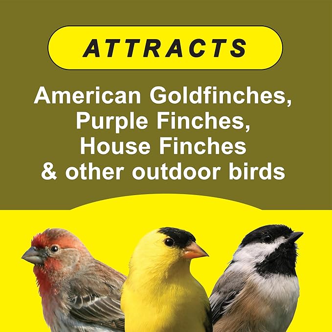 Wild Delight Special Finch Food, 5 lb