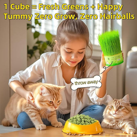 60g/2.12oz Cats Grass Treats Cat Toy for Teeth Cleaning Lickable Catnip Chew Snack for Indoor Fish Oil Flavored Kitty Freeze Dried Food Kitten Grass Teething Stick Hairball Removal Dog Treat