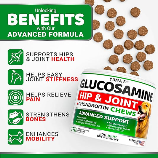 YUMA'S Glucosamine for Dogs - Hip and Joint Supplement for Dogs - 170 Ct - Glucosamine Chondroitin Chews - Joint Pain Relief Supplement with MSM - Advanced Health - Mobility Support - Made in USA
