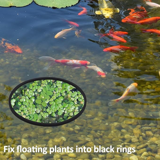 10 Pcs Fish Feeding Rings Set 5 Sizes Aquarium Round Feeder Ring for Fish Tank Aquarium Floating Plant Corral for Intercepts Floating Plants Black