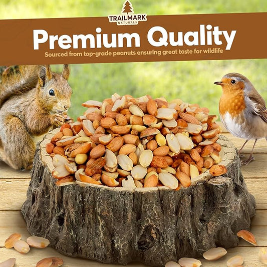 8 LB - Raw Shelled Peanuts For Squirrels, Out of Shell Peanuts For Birds and Wildlife- Squirrel Food, Wild Bird Seed - Grown in The USA