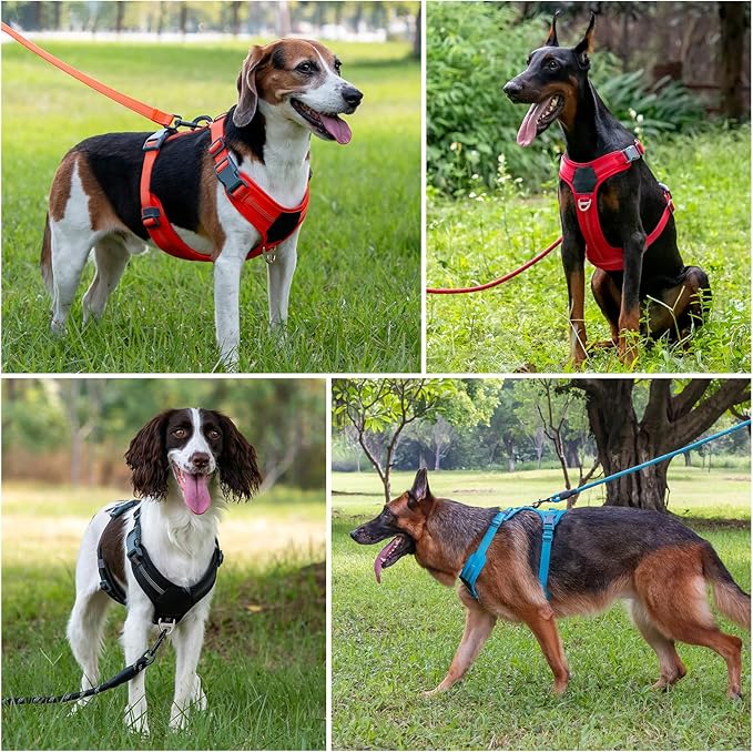 Plutus Pet No Pull Dog Harness, Release at Neck, Soft Padded, Reflective Adjustable Dog Vest Harness for Small, Medium, Large Dogs(Gray, L)