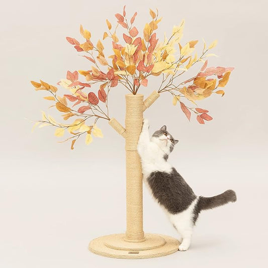 Meowoou Cat Scratching Post for Indoor Cats Adults 42 Inch Tall Cat Scratcher with Sisal Rope for Kittens and Medium Large Cats Multi-Colored