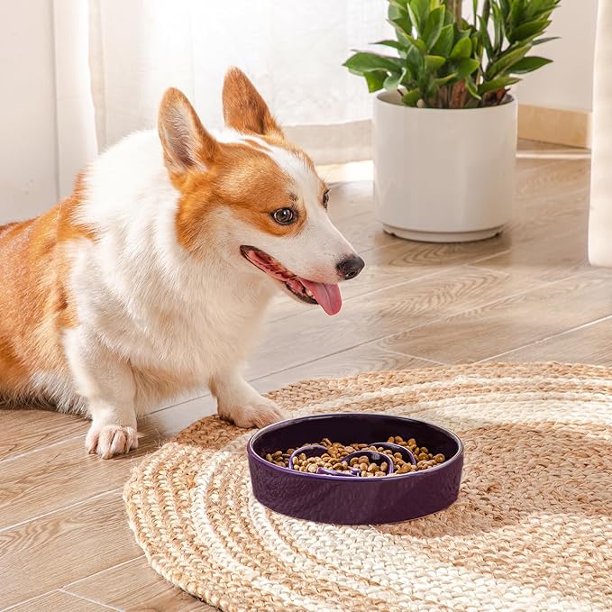 vancasso Slow Feeder Dog Bowl, 1.5 Cups Ceramic Slow Feeder for Medium Breed, Puzzle Maze Food Dog Bowl for Fast Eater, Dark Purple