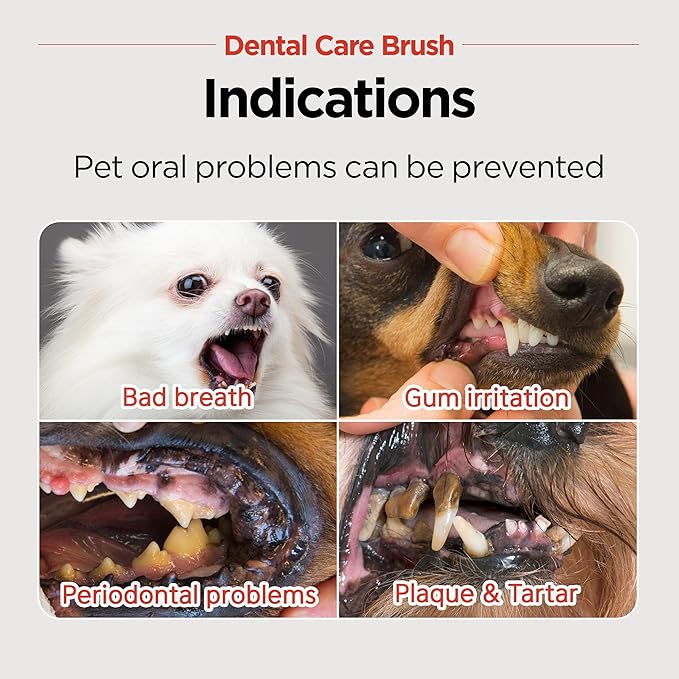 JAYU PET Dental Care Brush (Soft Bristles) 3ea - Dog Toothbrush, Cat Toothbrush, Dental Care for Kitten and Small Dogs, Removing Old Plaque and Tartar, Cat Teeth Brushing & Easy Cleaning