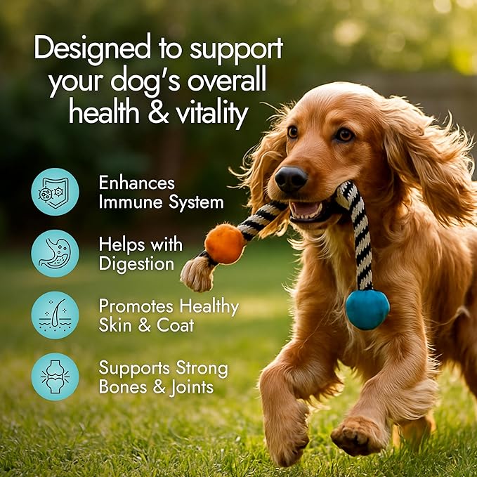 Pet Vet Multi Soft Chews for Dogs (Beef Liver, 60 Chews) – Multivitamins, Probiotics for Digestive Health – Glucosamine, Skin Supplement – Immune Support, Supplements & Vitamins