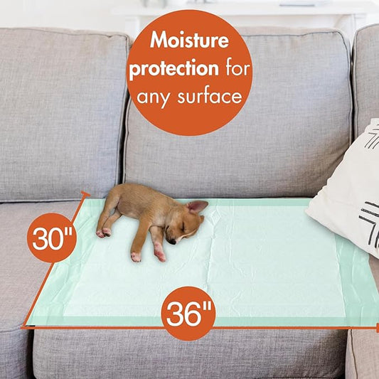 Caring Disposable Underpads, Pet Pee Pads for Potty Training, Moderate Absorbency, 30 x 36 in, 30-Pack