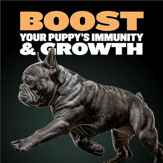 Bully Max Wet Puppy Food - Instant Fresh Dehydrated High Protein Soft Dog Food with Chicken - Healthy Growth for Small & Large Breed Puppies - 2 Dry Dog Food Pounds (Makes 5.5 lbs. of Wet Food)