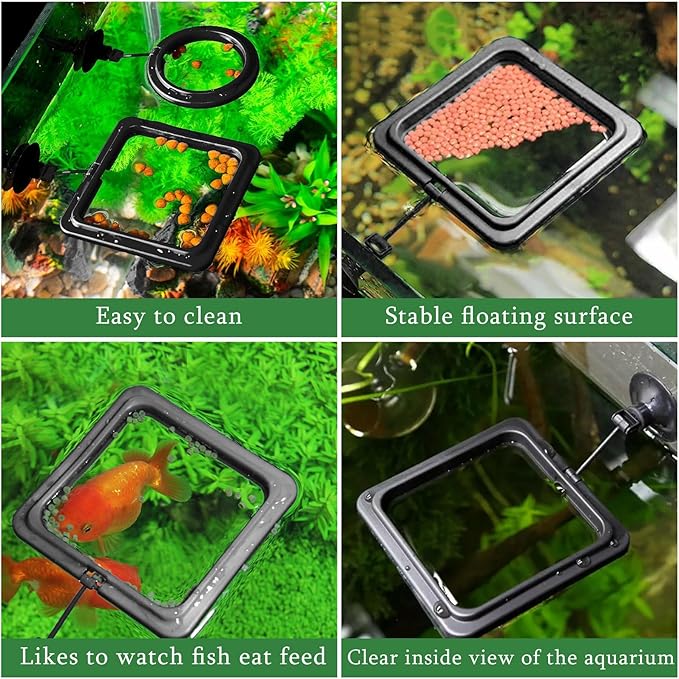 2 Pcs Small Fish Feeding Ring, Floating Food Feeder with Strong Suction Cup Aquarium Feeding Ring for Floating Aquariums and Fish Tanks