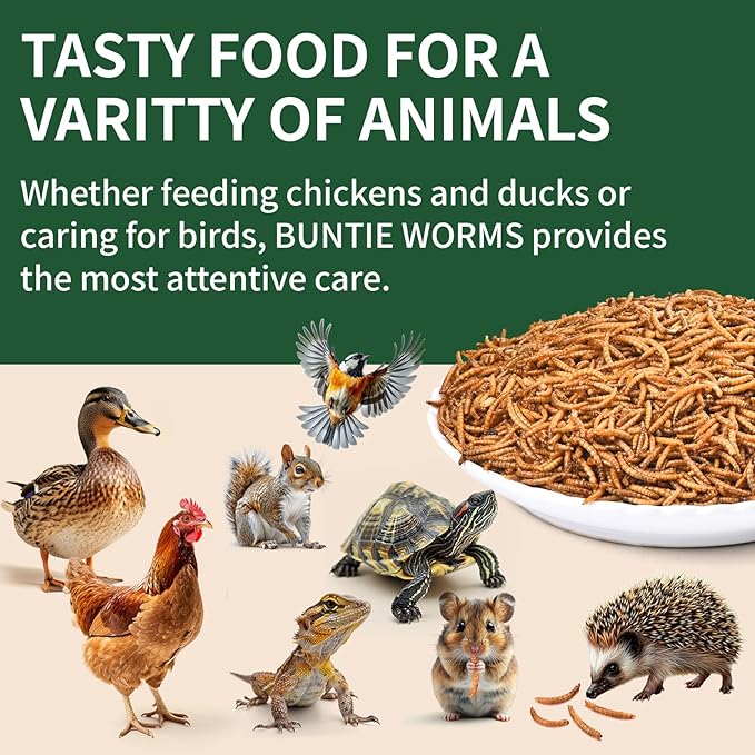 10LB Dried Mealworms, 100% Natural, Non-GMO Meal Worms, Dried for Chickens, Wild Birds, Reptile, Hamster, Hedgehog, Pigeon
