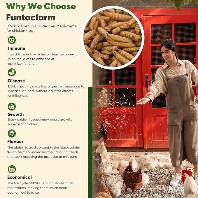 10LB Dried Black Soldier Fly Larvae for Chickens, High Protein Chicken Feed Superior to Meal Worms for Wild Birds & Chicken Treats for Laying Hens