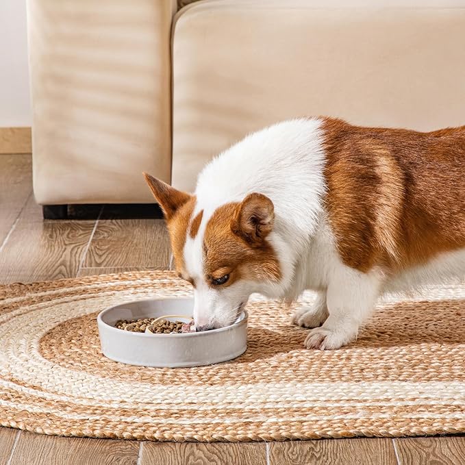 vancasso Slow Feeder Dog Bowl, 1.5 Cups Ceramic Slow Feeder for Medium Breed, Puzzle Maze Dog Food Bowl for Fast Eater, Light Gray