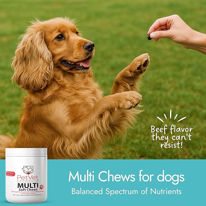 Pet Vet Multi Soft Chews for Dogs (Beef Liver, 60 Chews) – Multivitamins, Probiotics for Digestive Health – Glucosamine, Skin Supplement – Immune Support, Supplements & Vitamins