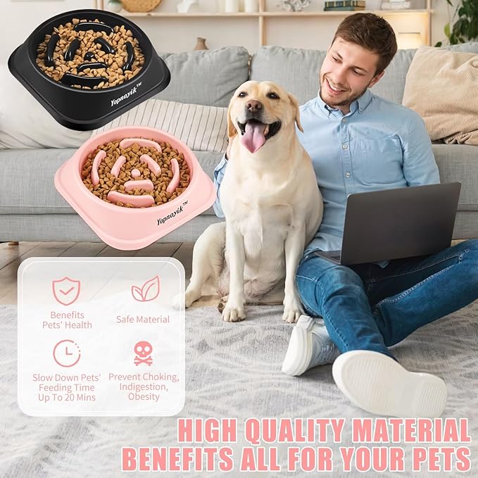2 Pack Slow Feeder Dog Bowls for Healthy Eating, Non-Slip and Anti-Choking Design, Reduces Bloating & Overeating for Large Dogs, Easy to Clean