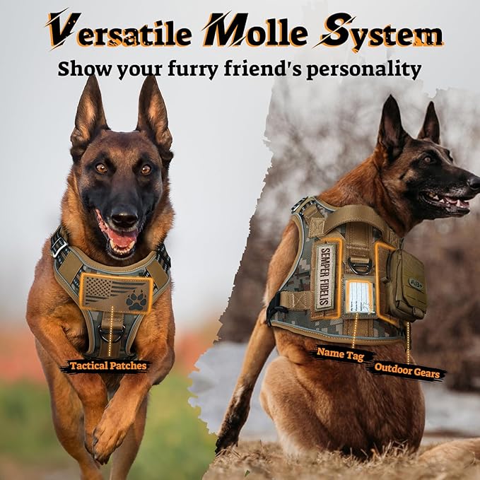 rabbitgoo Dog Harness for Large Dogs No Pull, Tactical Service Pet Vest with Molle and Control Handle, Adjustable and Reflective Military Harness for Easy Walking and Training, Desert camo, XL