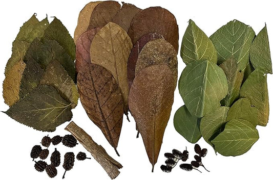 Awesome Aquatic Shrimp Combo Kit 10 Each Catappa, Mulberry and Dadap Leaves, Alder & Casuarina Cones, 10 g Catappa Bark and 1-6 inch Cholla Wood