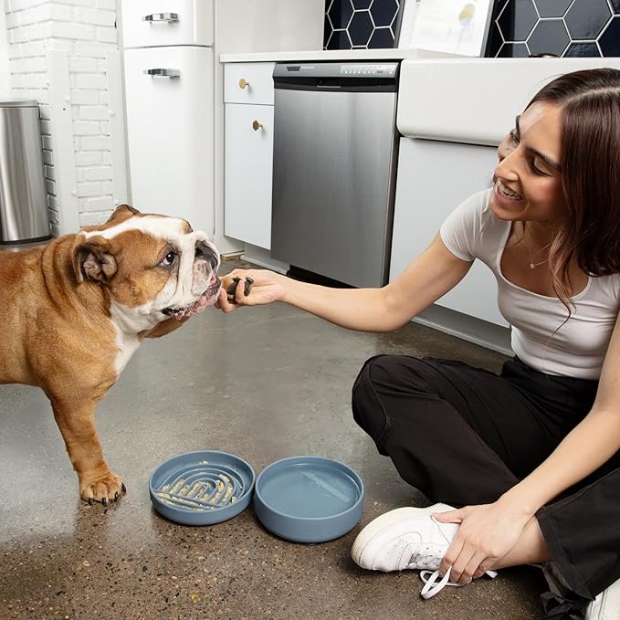 The Perfect Dish No-Spill Dog Water Bowl, Less Mess Non-Tippable Water & Food Bowl, Pure Silicone with Suction Cup, Fits 5 Cups 7.5" Across x 2.25" Tall, Ideal for All Pets, Medium-Honey