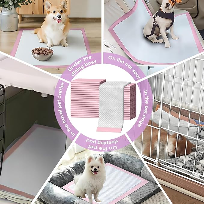 Pink Puppy Pee Pads, 24"x 24" 40 Count Disposable Puppy Pee Pad for Pet Toilet Training, Super Absorbent & Thick, Leak-Proof, Quick-Dry, Pet Potty Pads for Puppies, Dogs, Cats, Rabbits