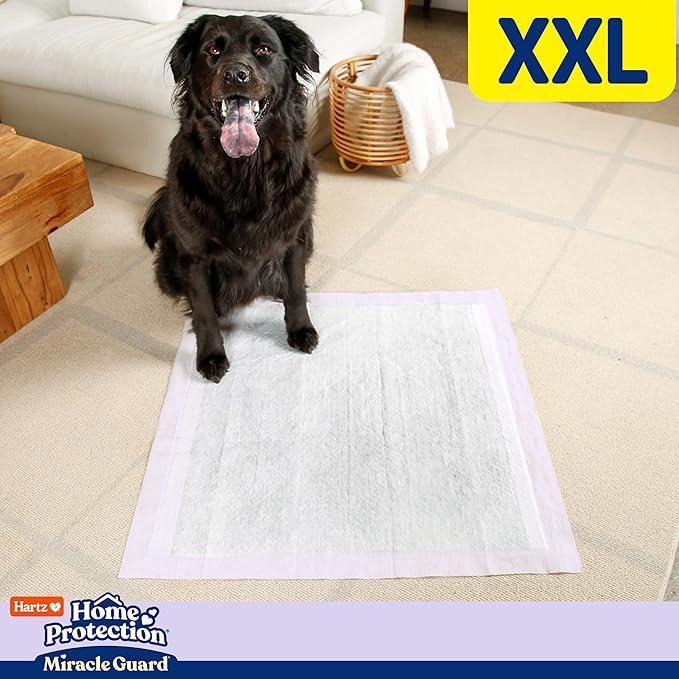 New! Hartz Home Protection Miracle Guard Lavender Scented USA Made Dog Pads, XXL Size 20 Count, 24 Hour Use, Won't Leak and Odor Eliminating
