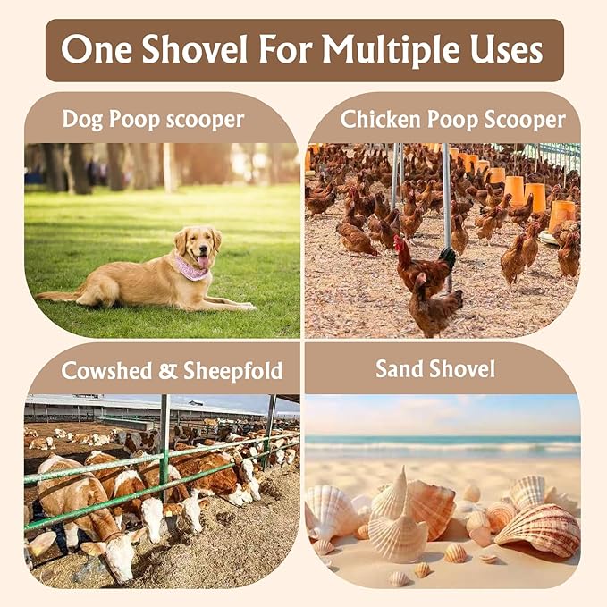 12inch Large Chicken Poop Scooper,With24 to 67" Stainless Steel Handle,Ideal for Chicken Coops, Pet Areas, and Farm Cleanup (12" Width)