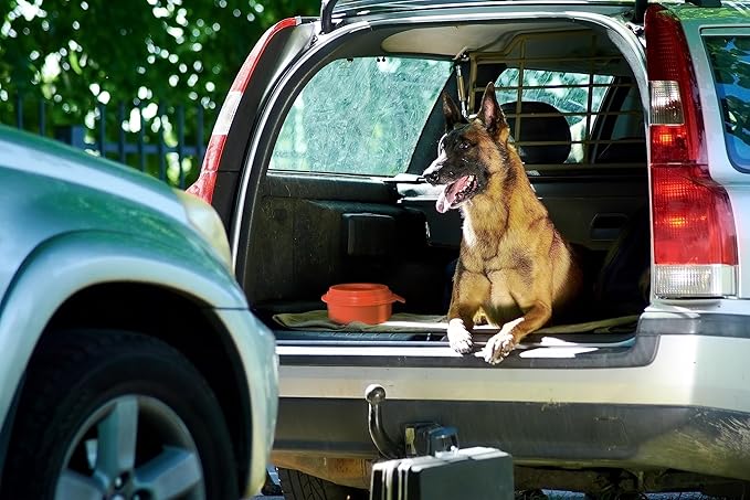 The Original Buddy Bowl - Spill Proof Water Bowl, Non Spill Travel Water Bowl, Regulates Drinking, 44oz, Made in USA (Orange)