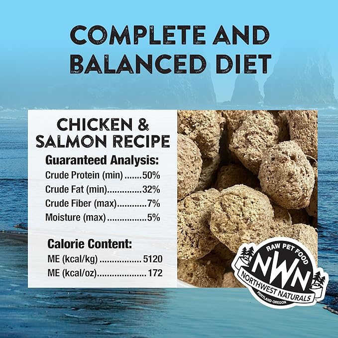 Northwest Naturals Freeze-Dried Chicken & Salmon Dog Food - Bite-Sized Nuggets - Grain-Free, High-Protein, Raw Diet, Human-Grade, Limited Ingredients, All Natural, Omega-3 for Skin & Coat - 12 Oz