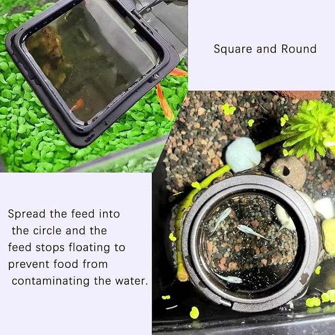 2PCS Fish Feeding Rings, Easy to Install Practical Aquarium and Fish Tank Floating Ring Food Feeder for Goldfish Turtles and Other Smaller Fish (Round and Square, Black)