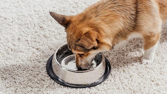 Stainless Steel Dog Bowls, Food and Water Non Slip Anti Skid Stackable Pet Puppy Dishes for Small, Medium and Large Dogs (2 Pack)