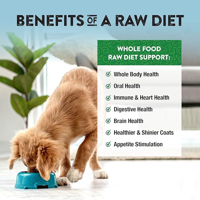 Northwest Naturals Freeze-Dried Lamb Dog Food - Bite-Sized Nuggets - Grain-Free, High-Protein, Raw Diet, Human-Grade, Limited Ingredients, All Natural, Nutrient-Dense, Healthy & Nutritious - 12 Oz