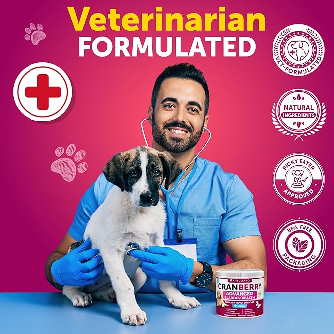Dog UTI Treatment - Cranberry Supplement and Bladder Control for Dogs - UTI Chewable Treats (2 Pack) - 240 Chews for Kidney Support - Bladder Stones - Urinary Tract Infection Incontinence Treatment