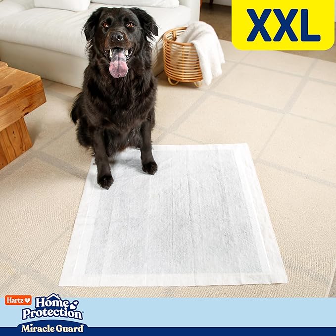 New! Hartz Home Protection Miracle Guard USA Made Dog Pads, XXL Size 20 Count, 3X Absorbency & 3X Longer use, Won't Leak and Odor Eliminating