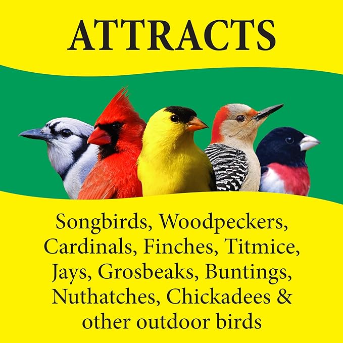 Wild Delight 366200 20-Pound Nut N-Berry Birdfood, 20 lb