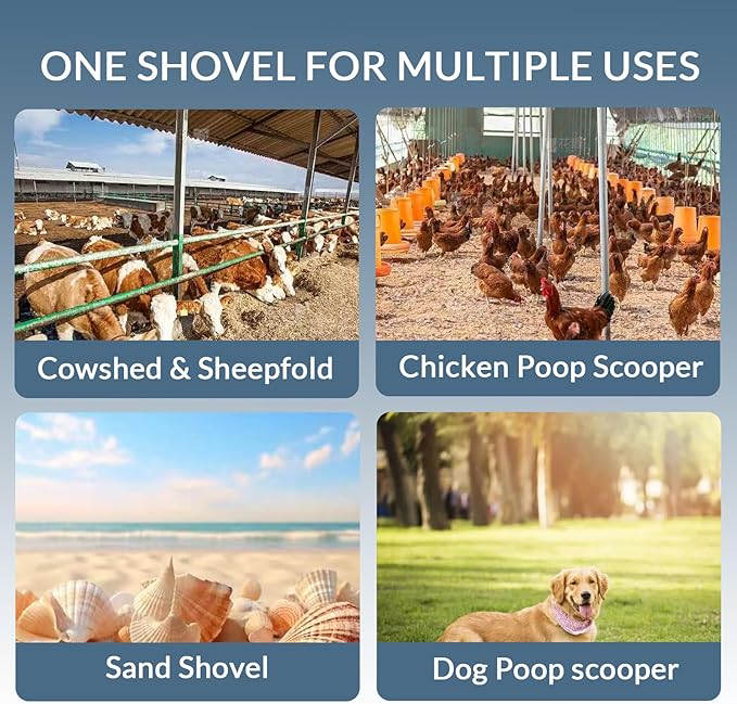 15inch Extra Large Chicken Poop Scooper,With24 to 68" Stainless Steel Handle,Ideal for Chicken Coops, Pet Areas, and Farm Cleanup (15" Width)