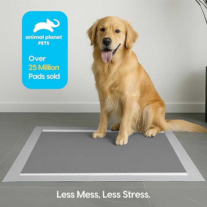 Animal Planet Pets Charcoal Puppy Pads | Extra Absorbent Dog Pee Pads - Quick Dry, Leak-Proof, Odor Neutralizing with Activated Carbon | Large 22" x 22" - 50 Count