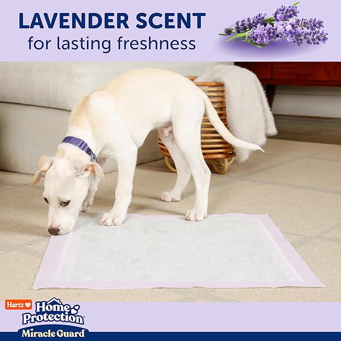 New! Hartz Home Protection Miracle Guard Lavender Scented USA Made Dog Pads, XXL Size 20 Count, 24 Hour Use, Won't Leak and Odor Eliminating