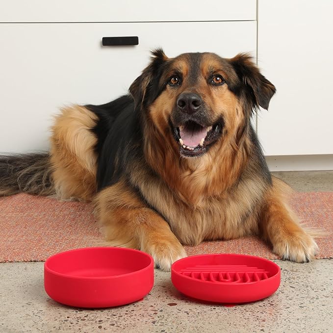 The Perfect Dish No-Spill Dog Water Bowl, Less Mess Non-Tippable Water & Food Bowl, Pure Silicone with Suction Cup, Fits 5 Cups 7.5" Across x 2.25" Tall Ideal for All Pets, Medium-Cherry